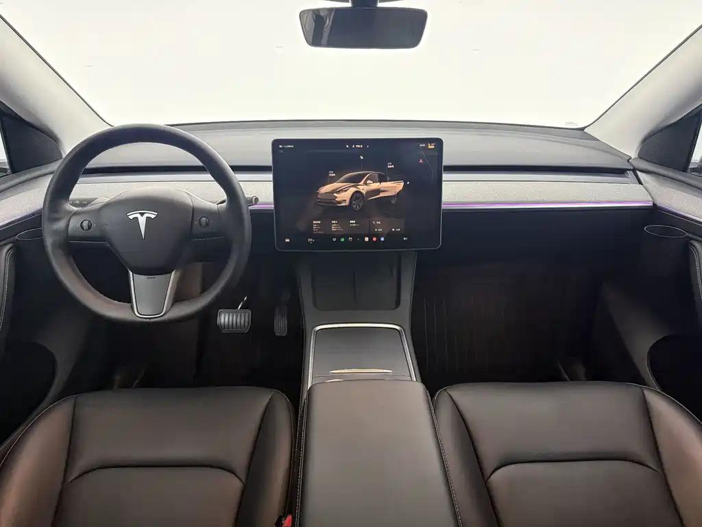 Tesla Model Y — миниатюра 5