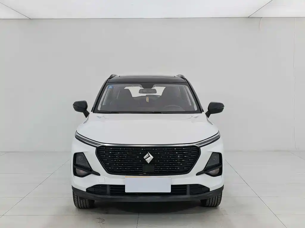 BAOJUN RS 3