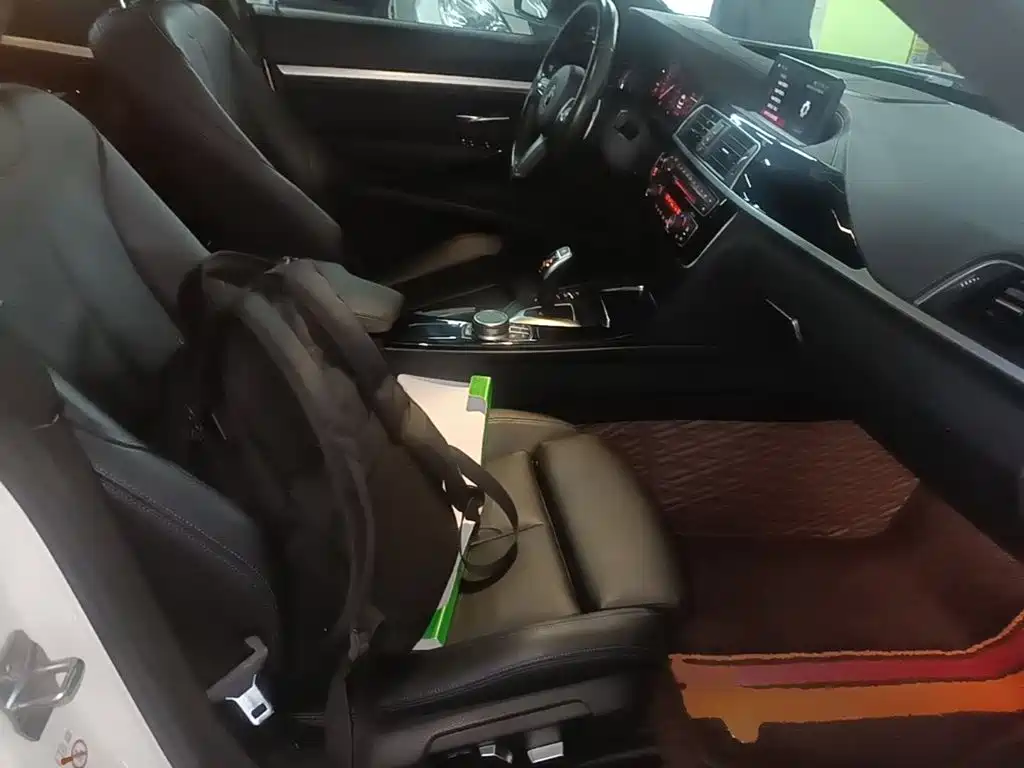 BMW 3 Series GT — миниатюра 25