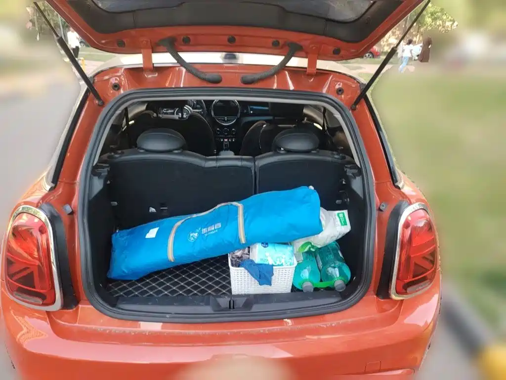MINI Mini — миниатюра 20