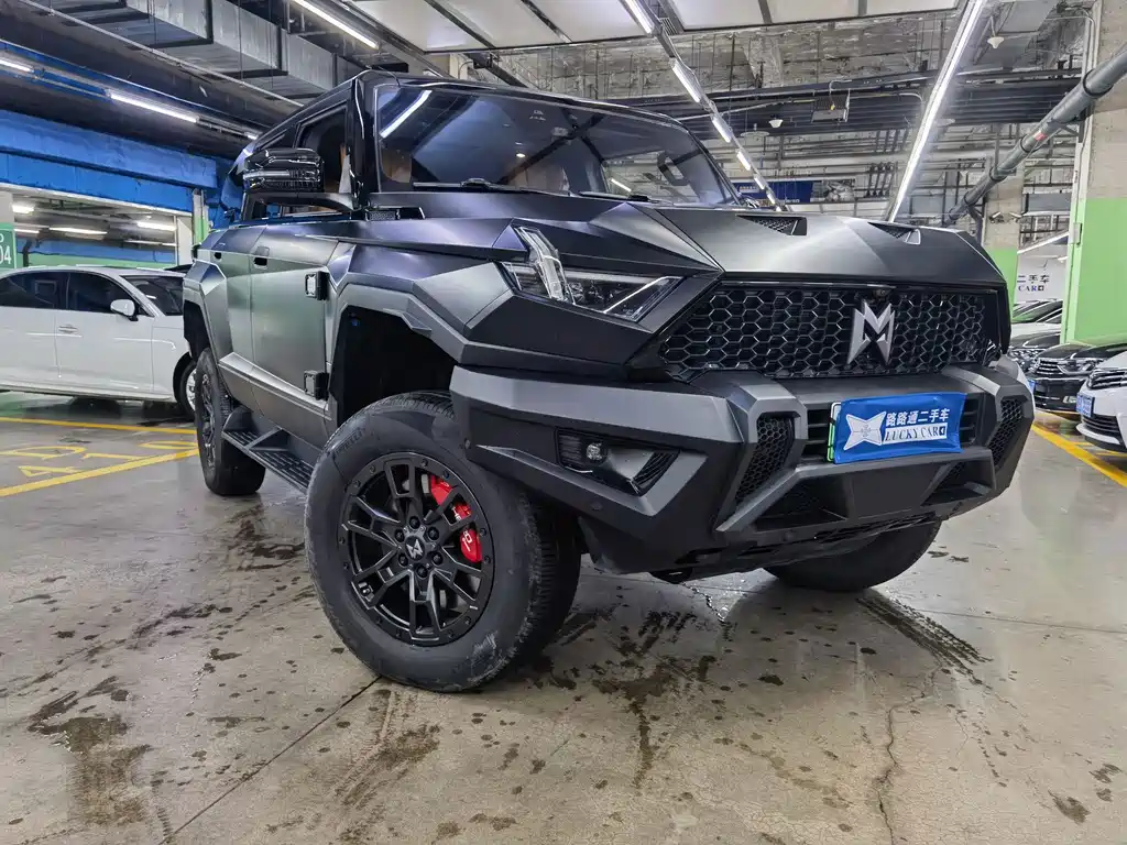 Mengshi Mengshi 917 — миниатюра 3