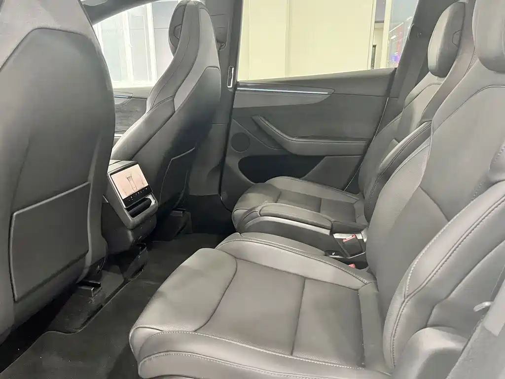 Tesla Model Y L — миниатюра 5