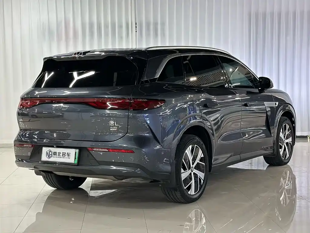 BYD Дон Л. — миниатюра 2