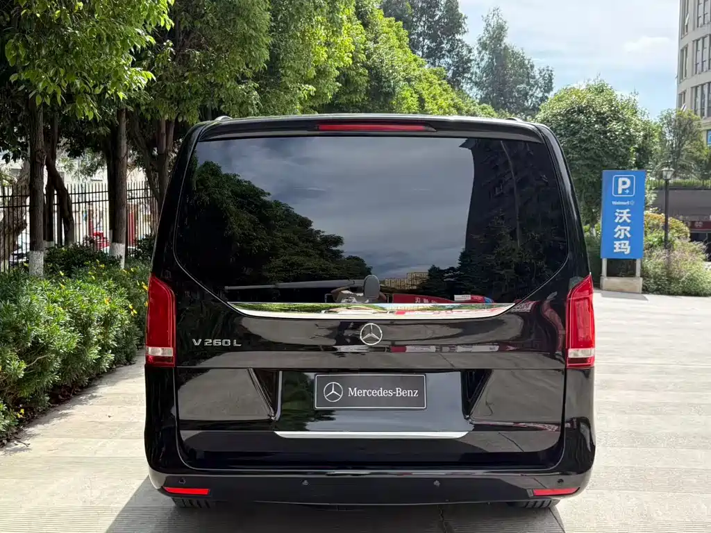 Mercedes-Benz V-Class V 2018 V 260 L Luxury Long Wheelbase VI
