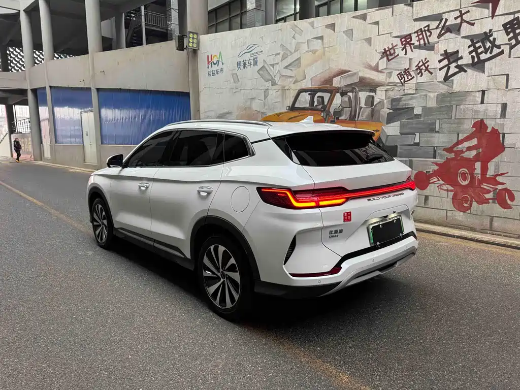 BYD SONGJIANG NEW ENERGY