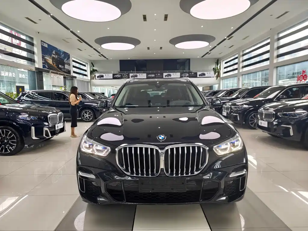 BMW X5 — миниатюра 2
