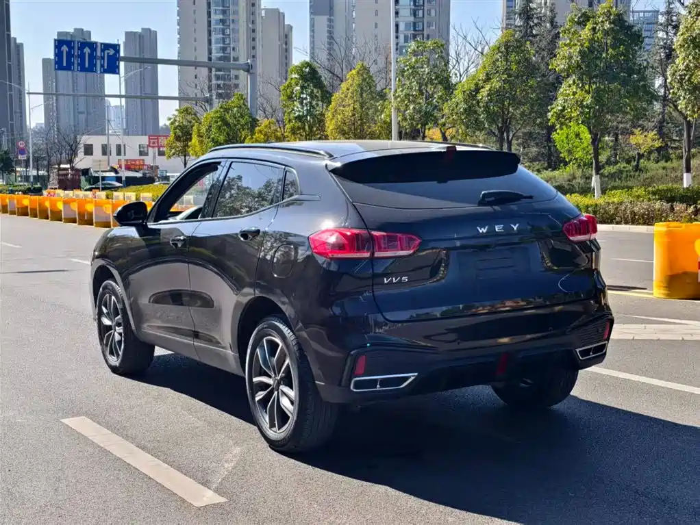 WEI PAI WEI BRAND VV5