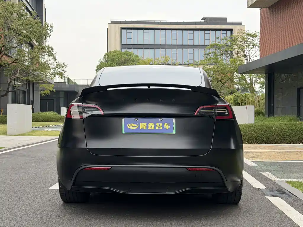 Tesla Model Y — миниатюра 19