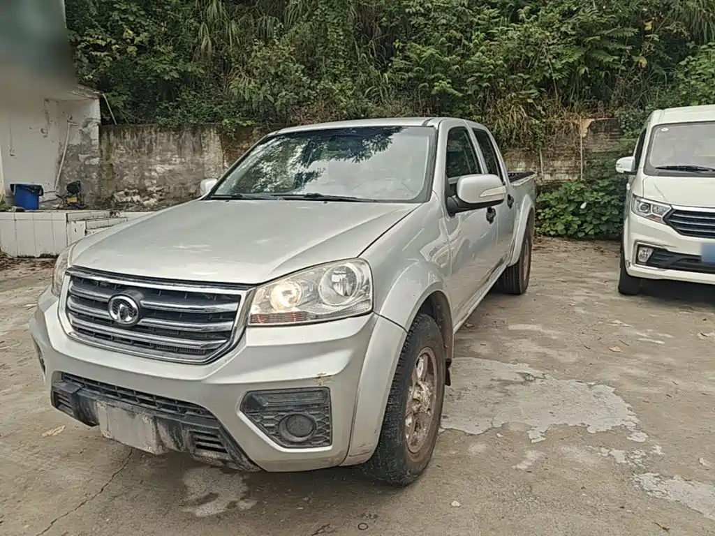 Great Wall Fengjun 5