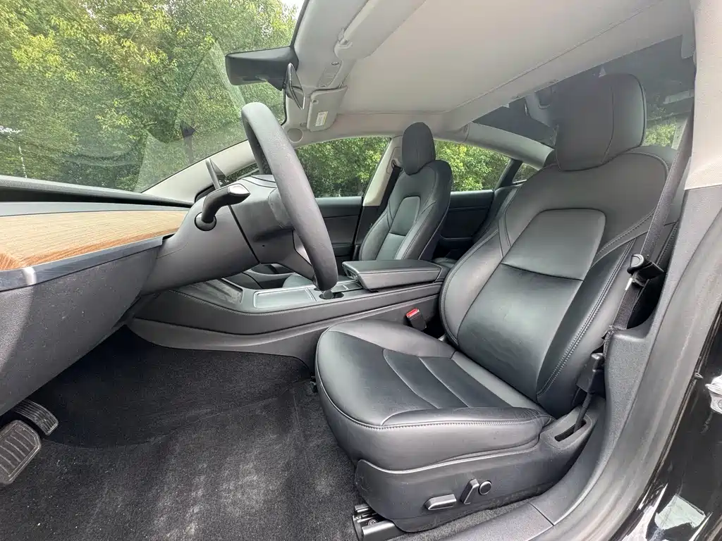 Tesla Model 3 — миниатюра 8