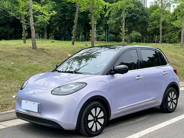 2025 Wuling Motors Binguo
