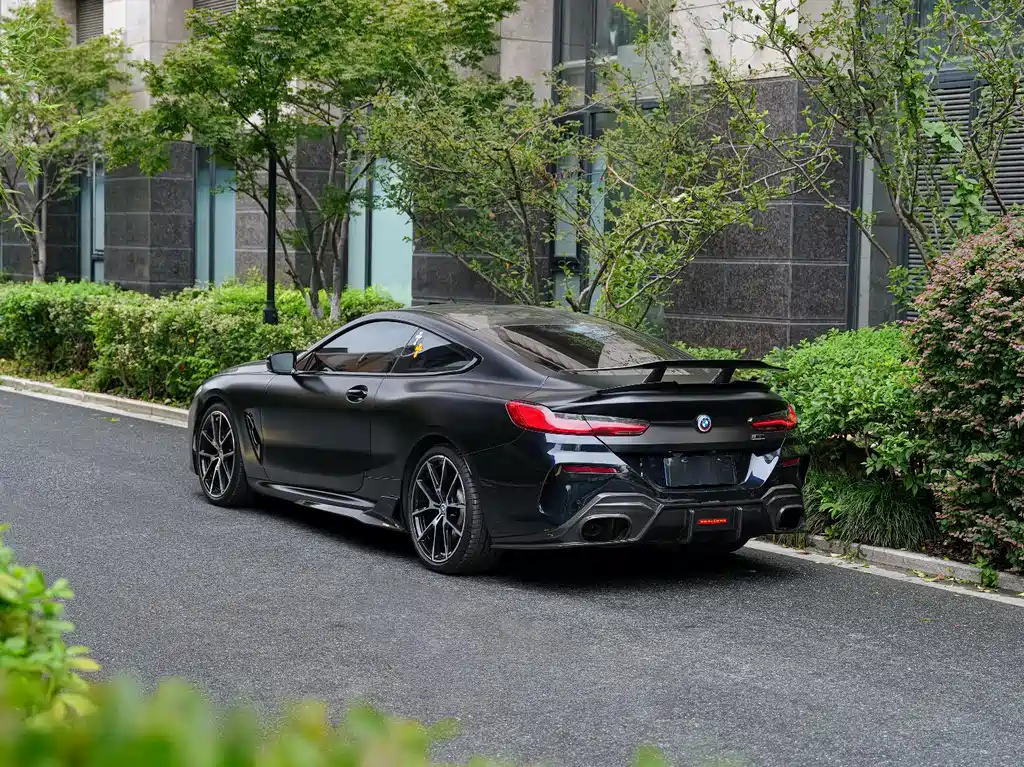 BMW 8 Series — миниатюра 2