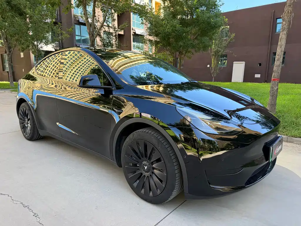 Tesla Model Y — миниатюра 3