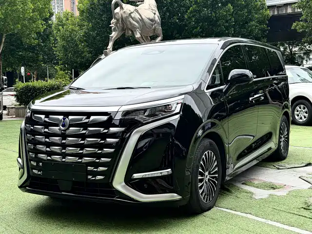 2025 Denza D9