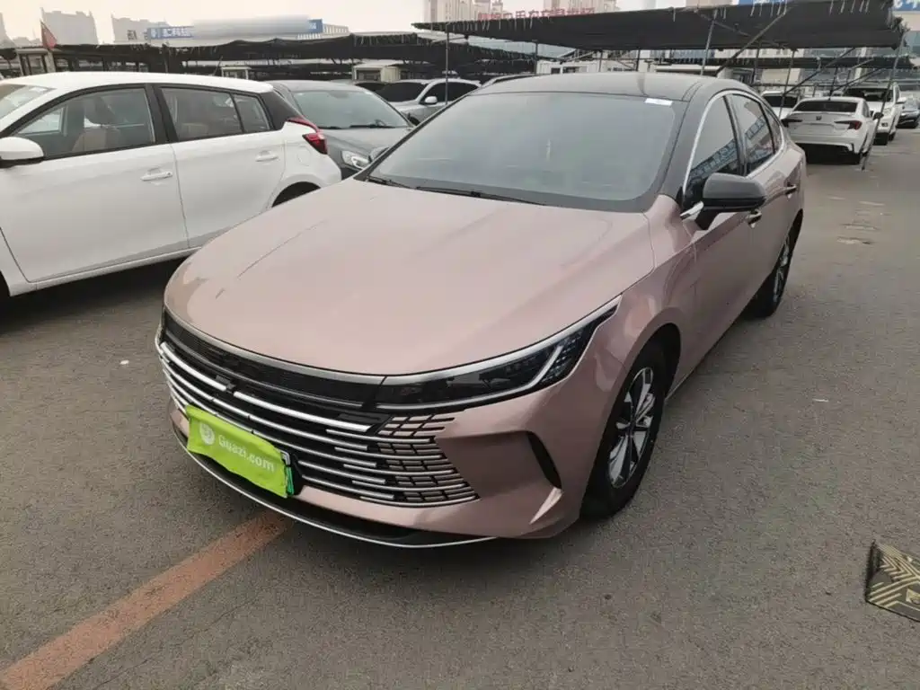 BYD Destroyer 05 — миниатюра 2