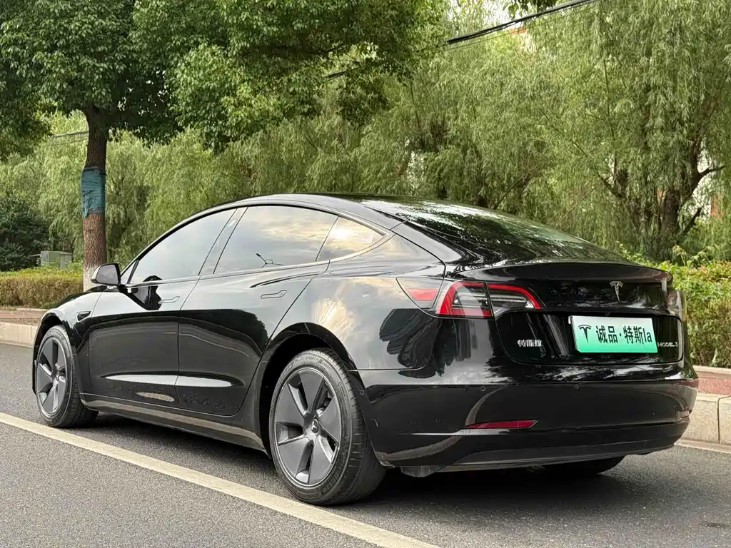 Tesla Model 3 — миниатюра 3