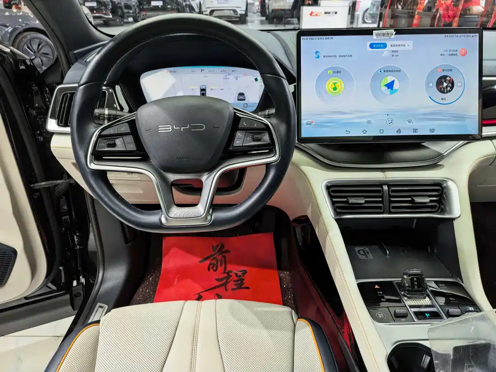 BYD PLUS New Energy — миниатюра 10