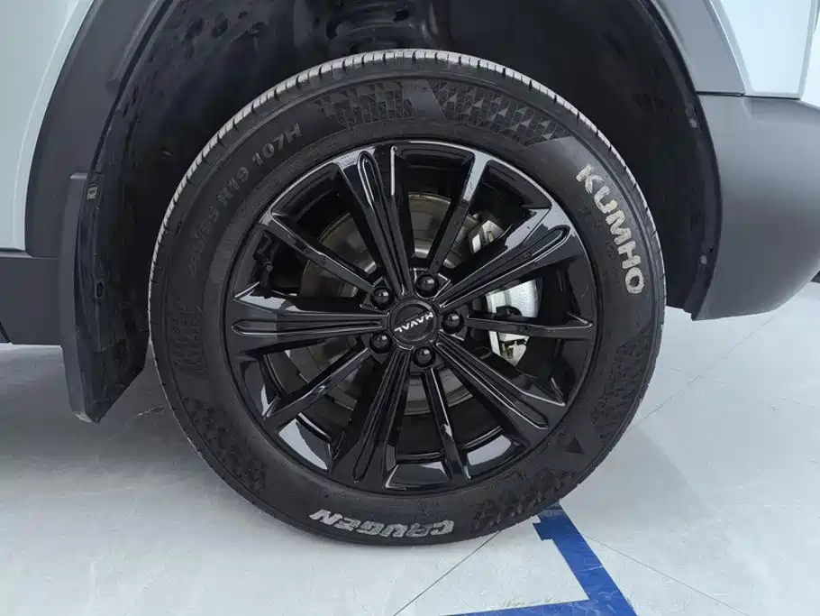 Haval Menglong New Energy — миниатюра 6
