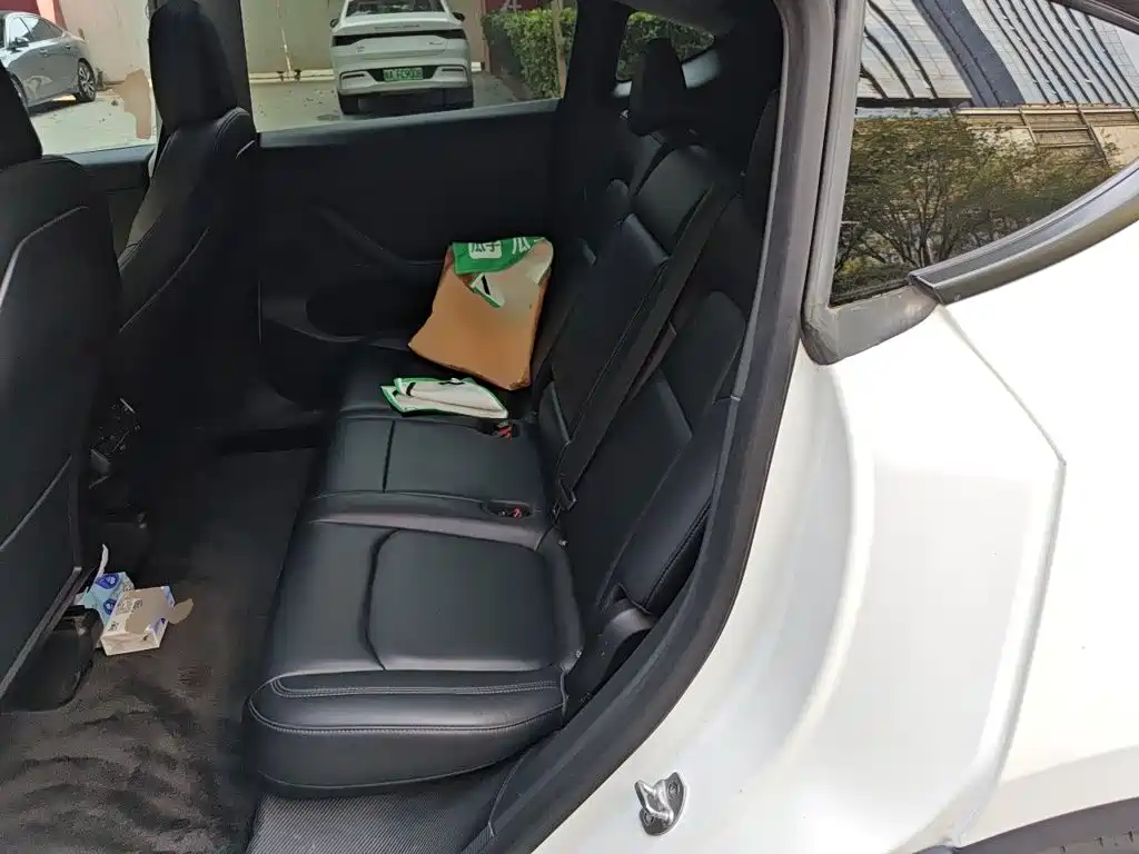 Tesla Model Y — миниатюра 18