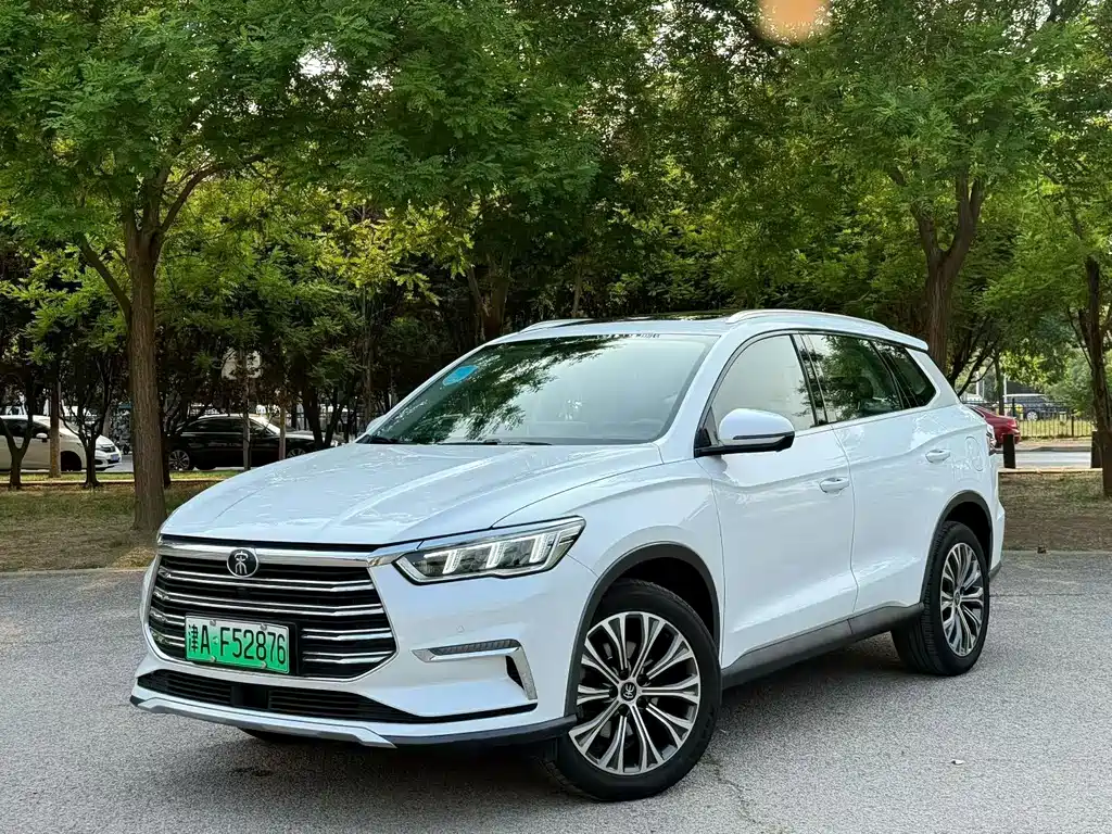 Byd Pro New Energy 2020