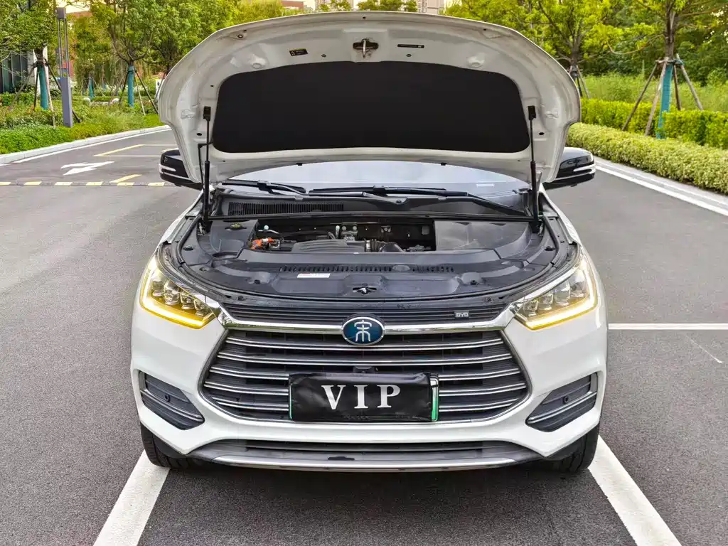 BYD New Energy — миниатюра 8