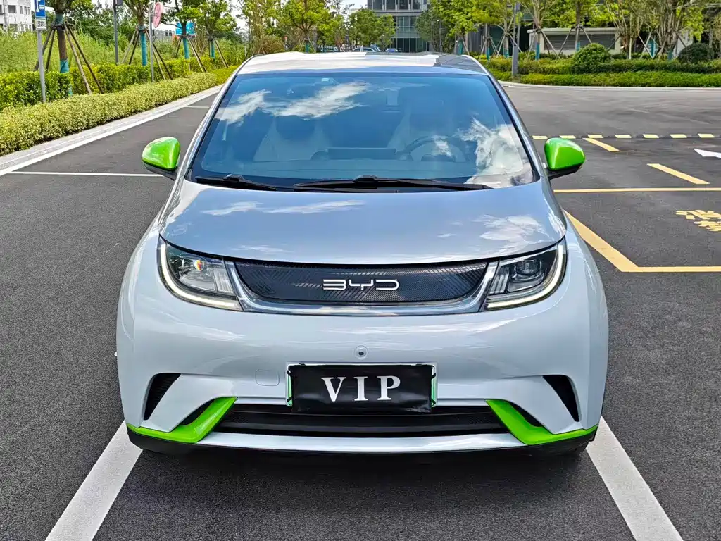 BYD Dolphin — миниатюра 2