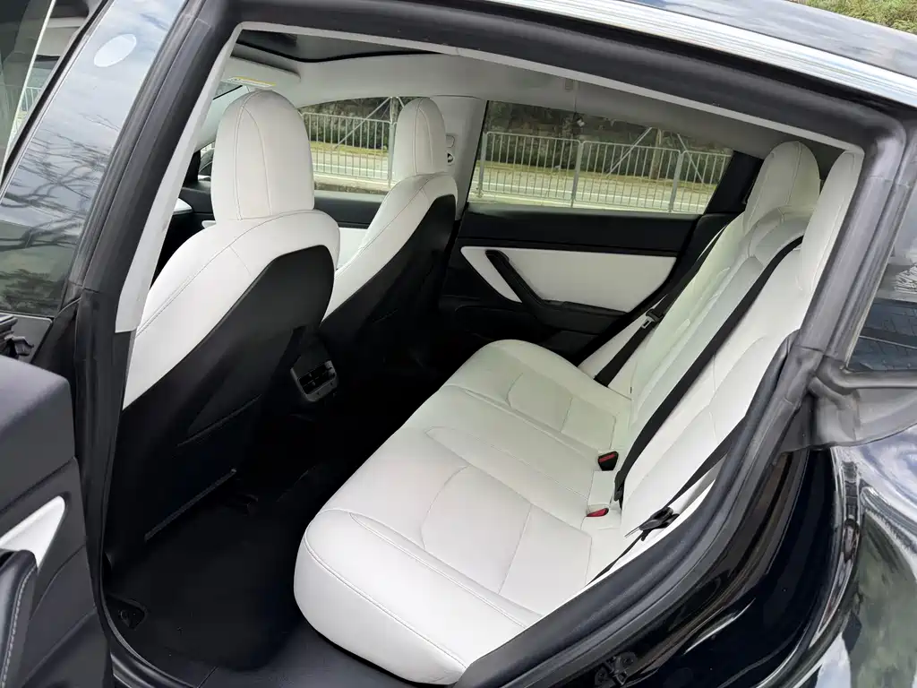 Tesla Model 3 — миниатюра 5