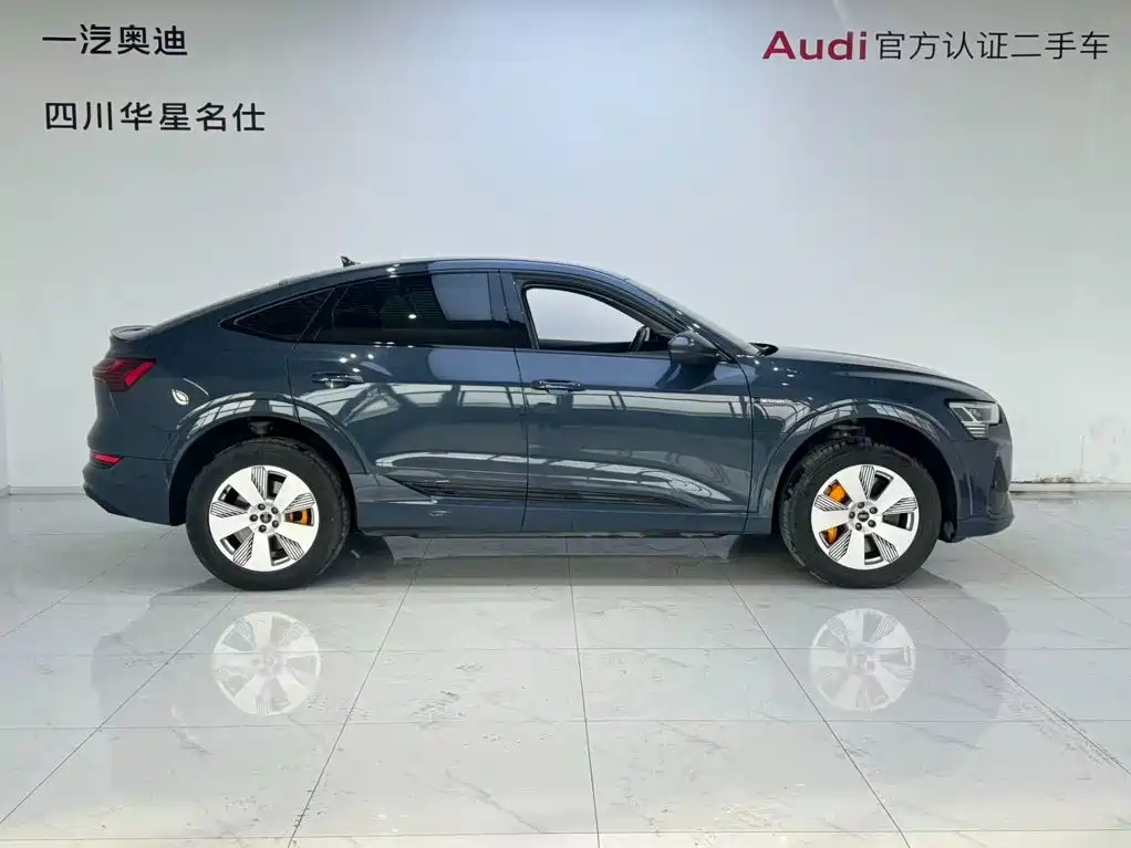 Audi e-tron (Import) — миниатюра 3