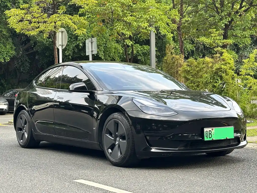 Tesla Model 3 — миниатюра 3