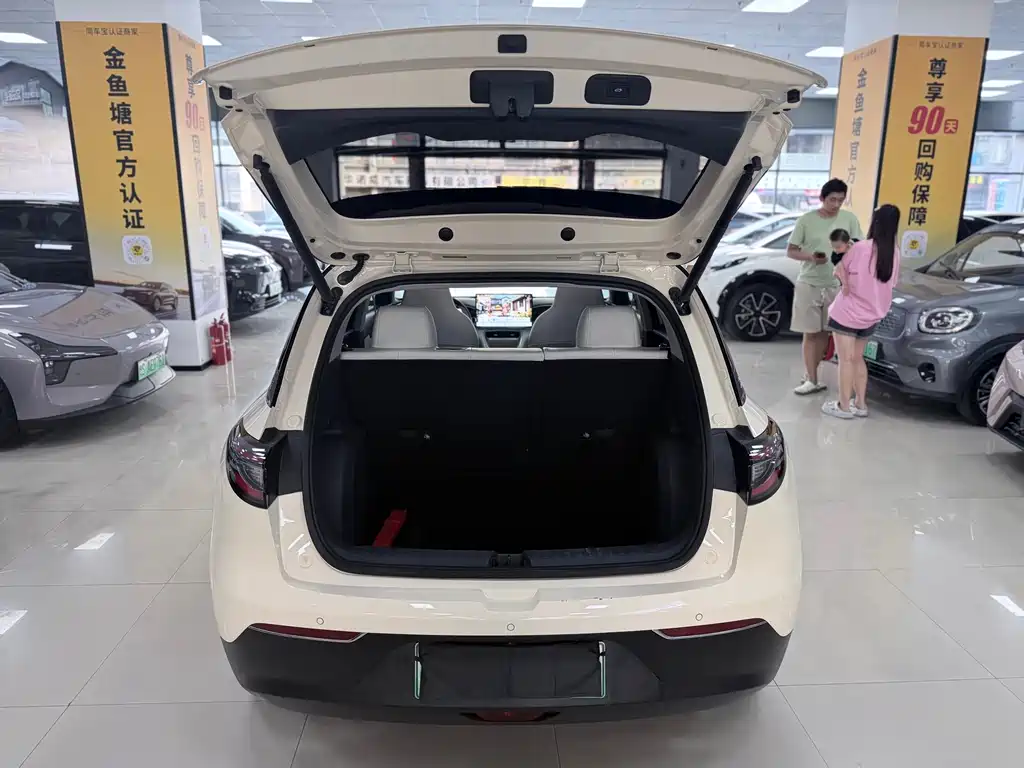Geely Geome Xingyuan 2025 UP 410km +