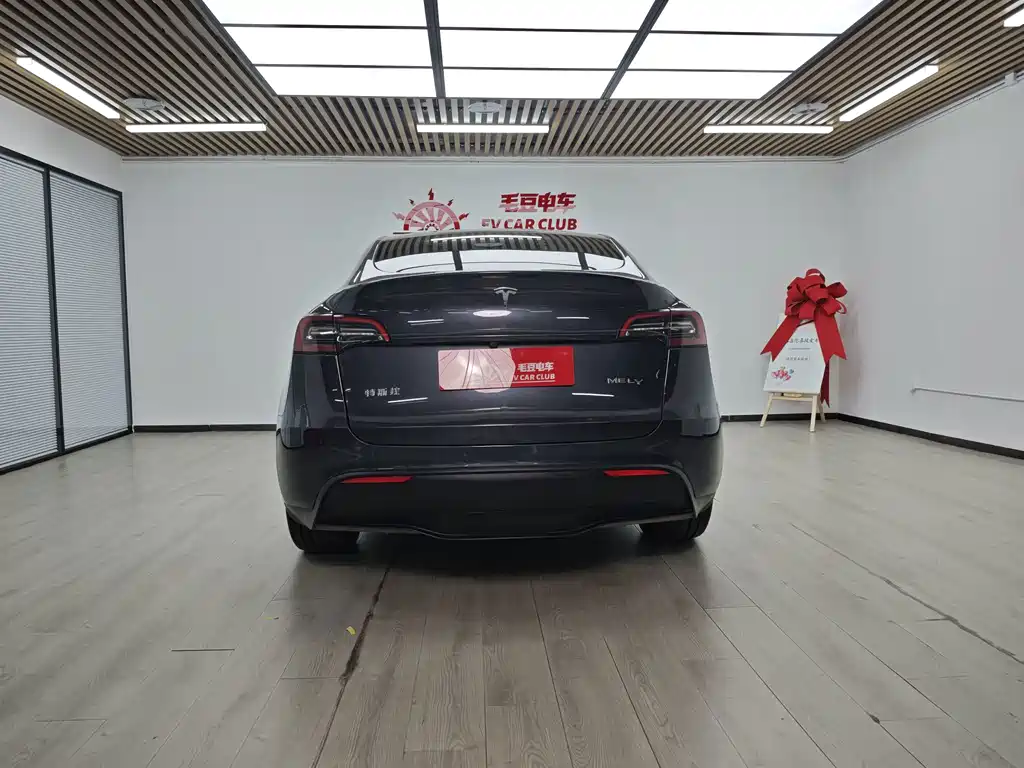 Tesla Model Y — миниатюра 6