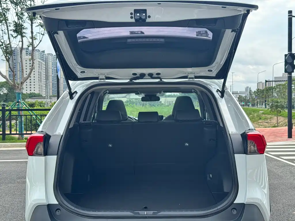 Toyota RAV4 2.0L CVT 2WD 20th Anniversary Platinum Commemorative Edition, фото 13