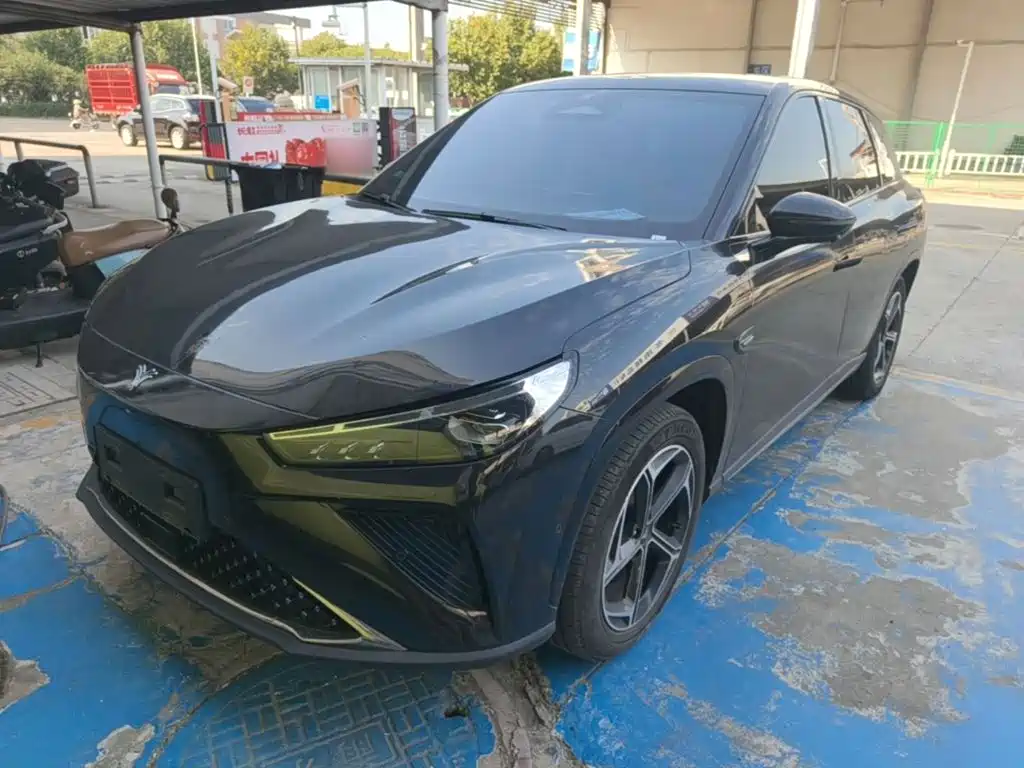 Neta Neta L — миниатюра 2