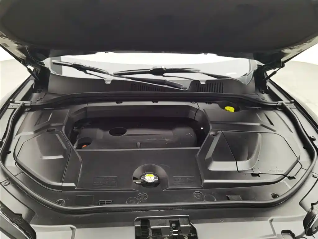 WEI PAI WEI BRAND VV5