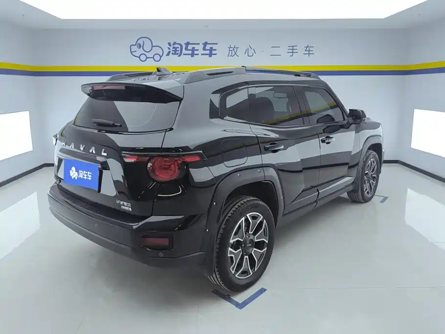 Haval Плюс новая энергия. — миниатюра 3