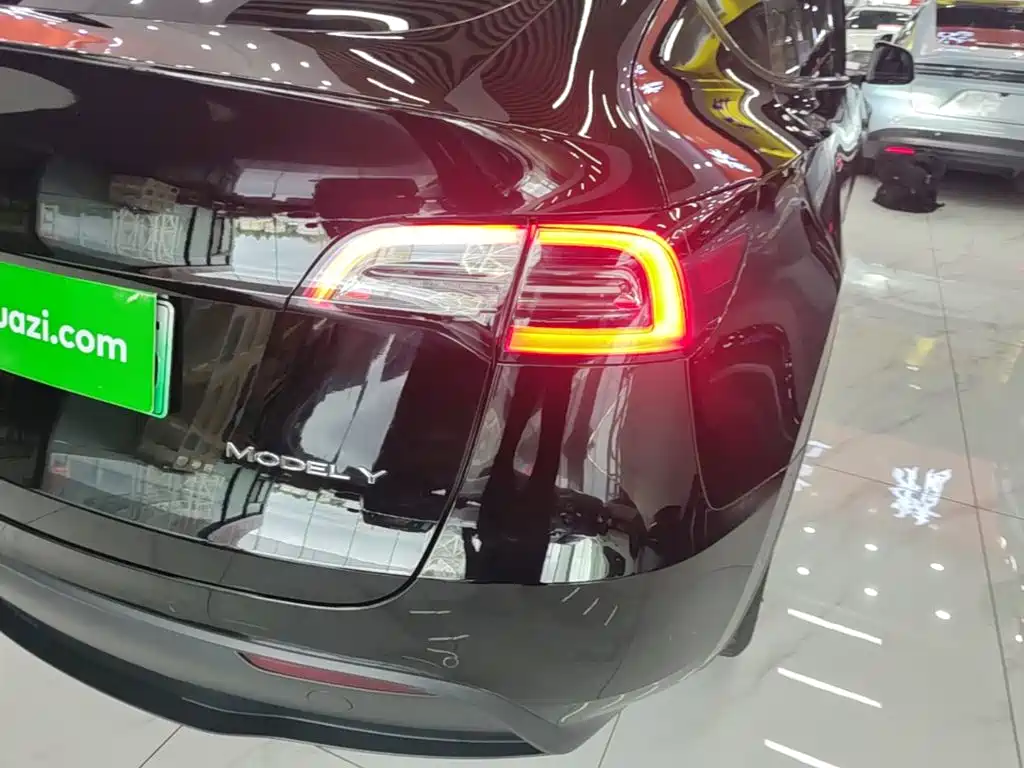 Tesla Model Y — миниатюра 8
