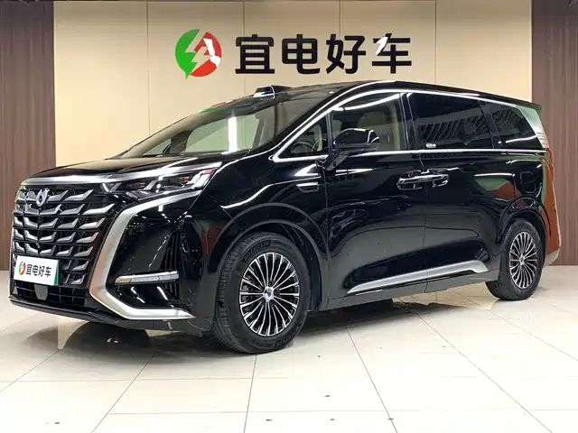2025 Denza D9