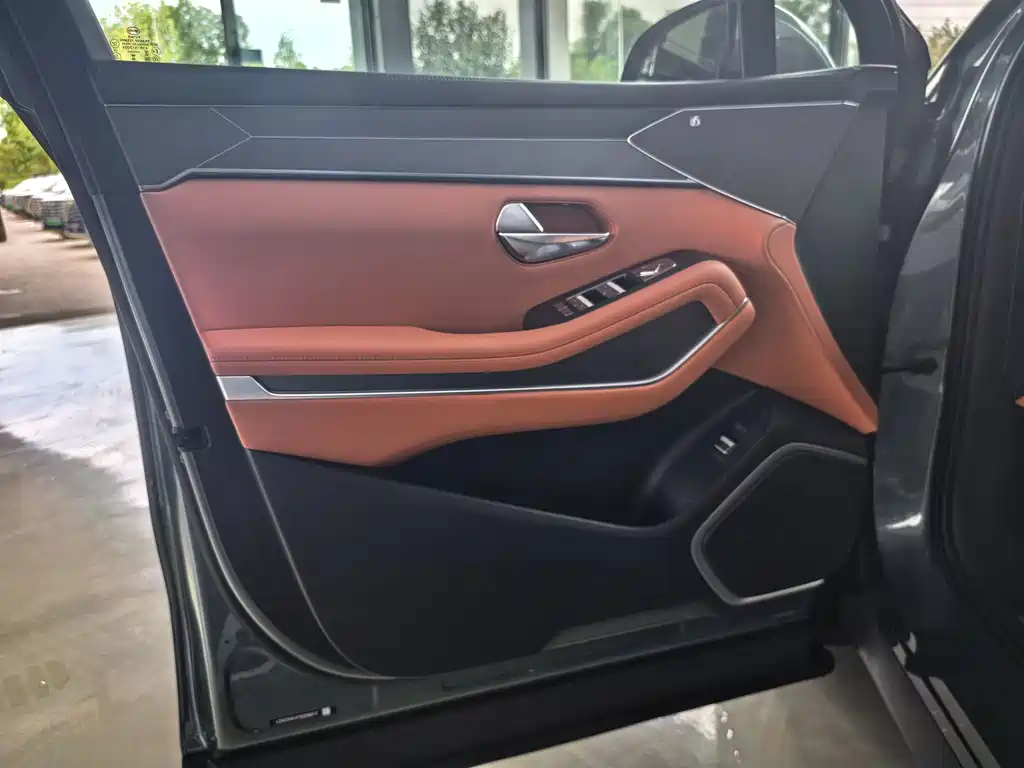 BYD Дон Л. — миниатюра 7