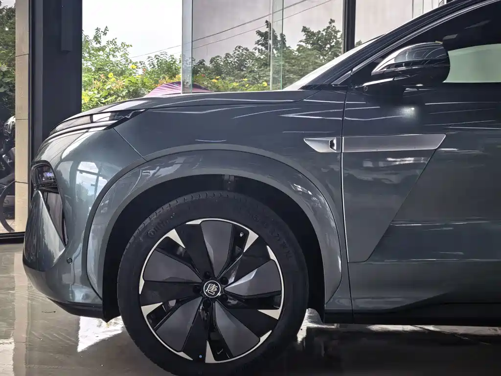 BYD Дон Л. — миниатюра 8