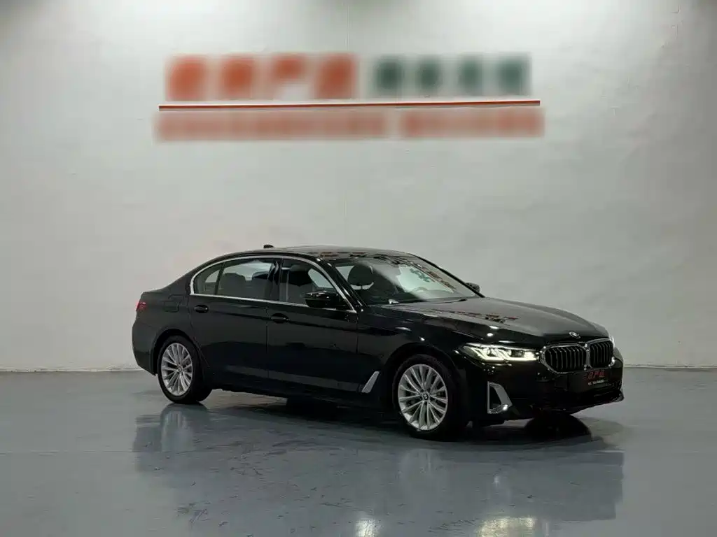 BMW 5 Series New Energy — миниатюра 9
