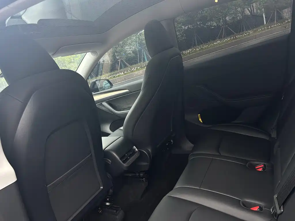 Tesla Model Y — миниатюра 7