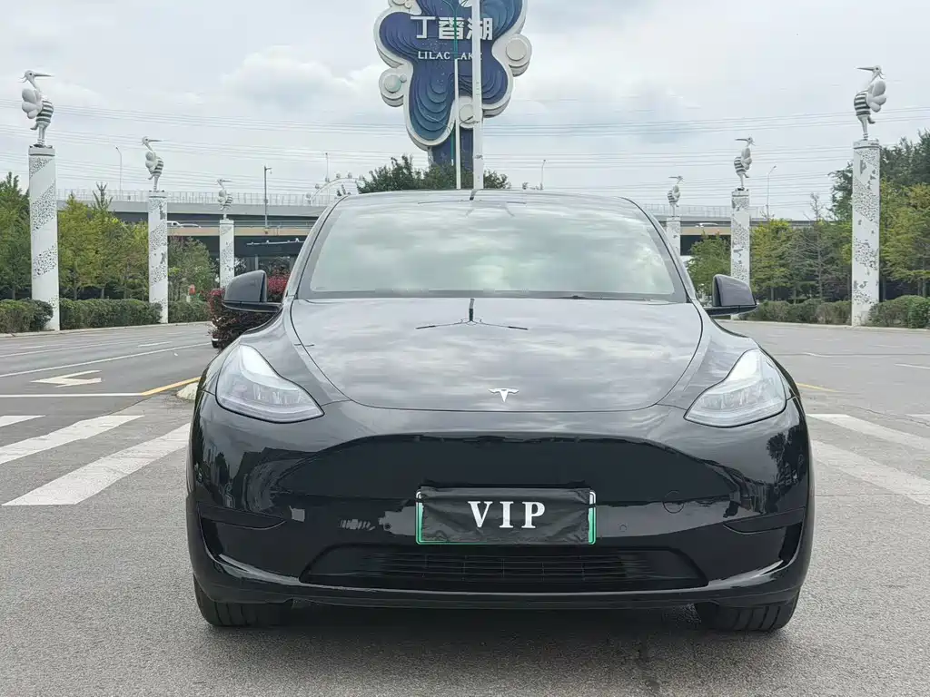 Tesla Model Y — миниатюра 6