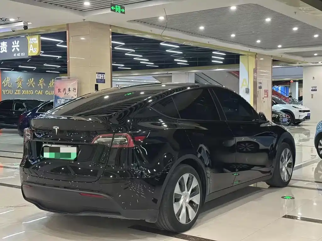 Tesla Model Y — миниатюра 7