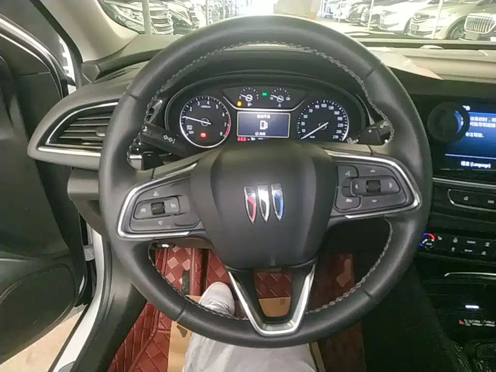 Buick Regal — миниатюра 11