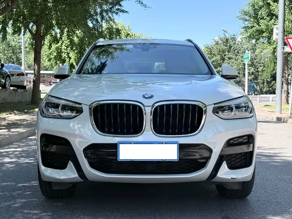 BMW X3 — миниатюра 2