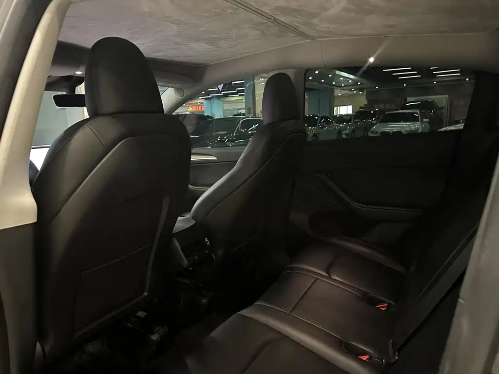 Tesla Model Y — миниатюра 5