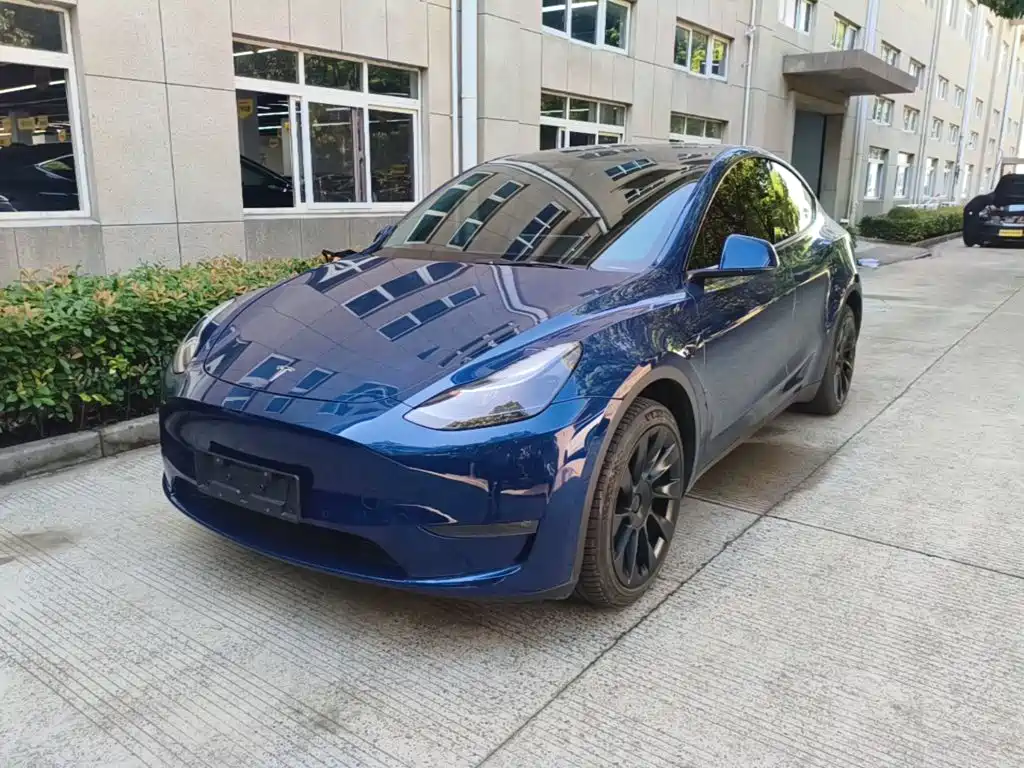 Tesla Model Y — миниатюра 2