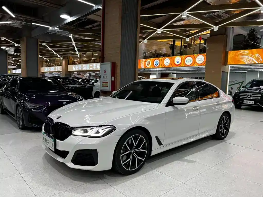 BMW 5 Series (Import)