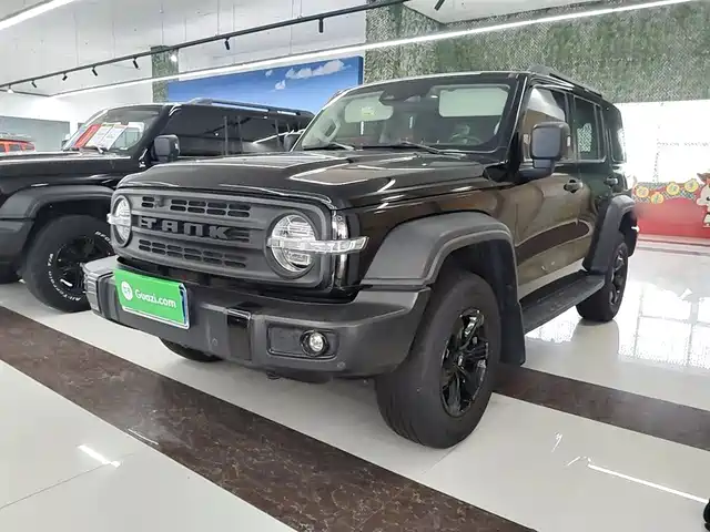 2022 TANK 300