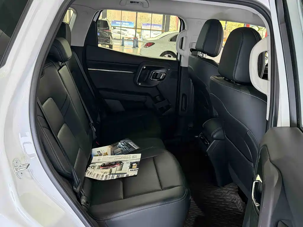 HAVAL SECOND GENERATION BIG DOG NEW ENERGY